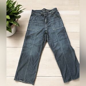 American Eagle Dreamy Drape Super High Rise Baggy Wide Leg Pants Size 14